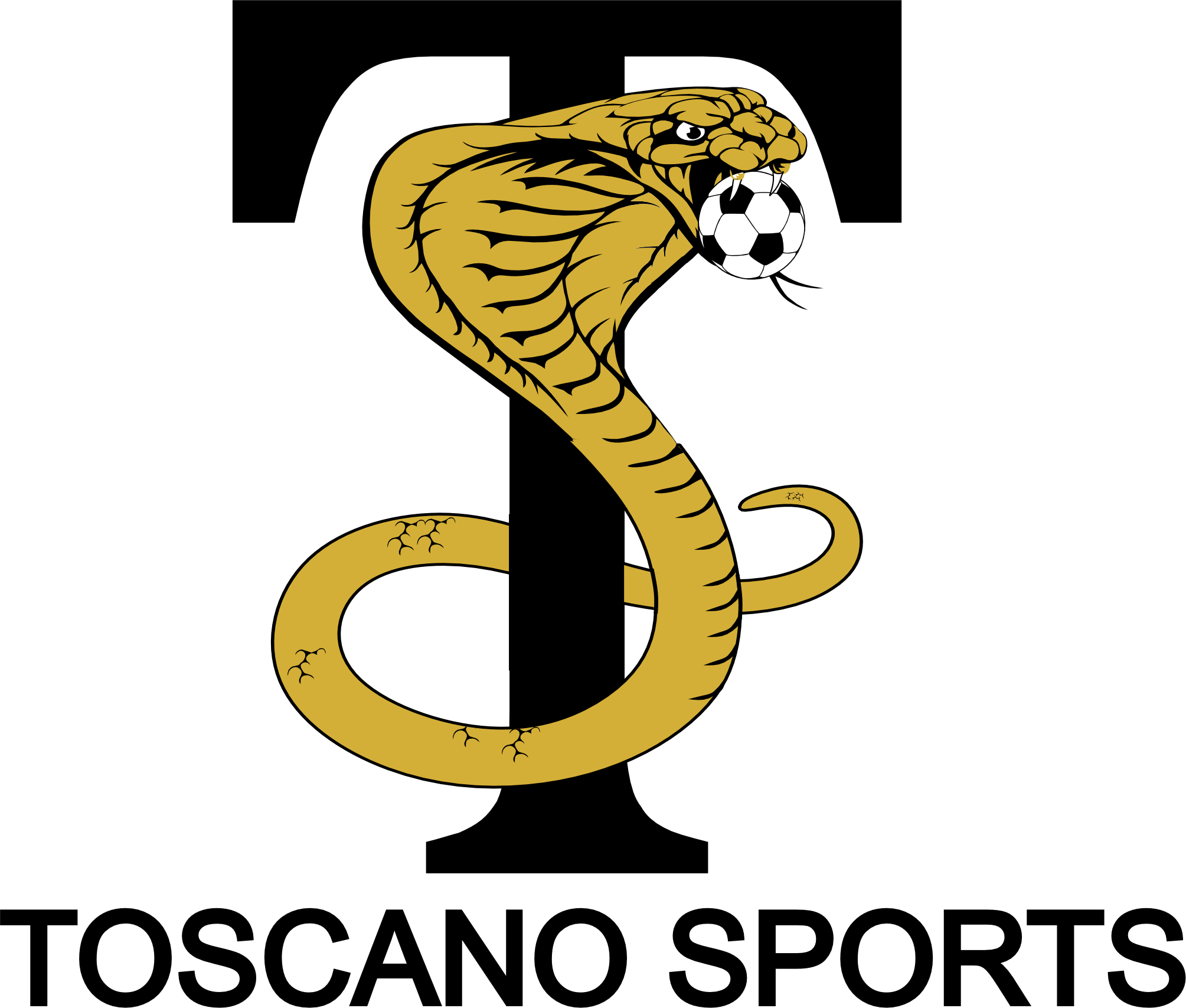 Ace Soccer Club